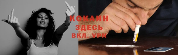 дурь Аркадак