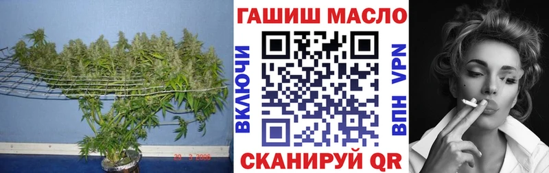 Дистиллят ТГК THC oil кракен зеркало Королёв