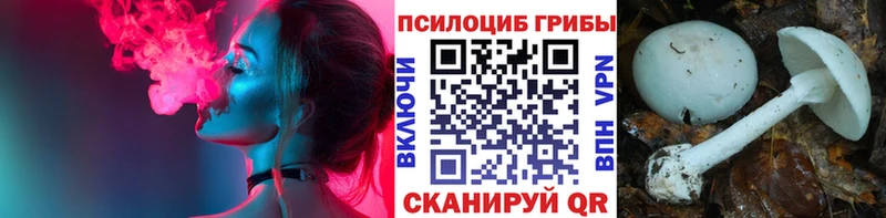 hydra ссылка  Королёв  Псилоцибиновые грибы Psilocybine cubensis 